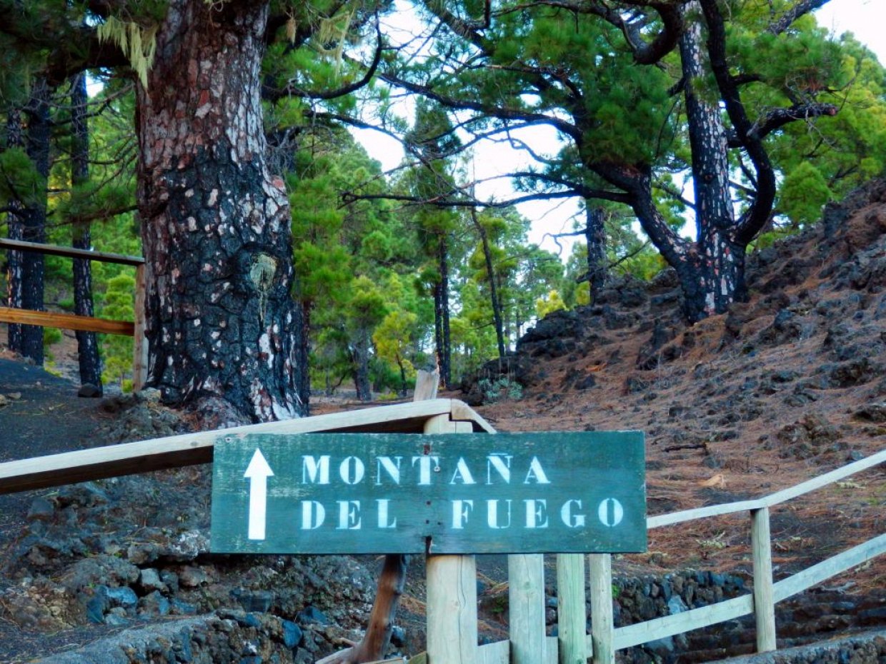 Vanaf recreatiegebied Fuente de los Roques naar Montaña del Fuego.